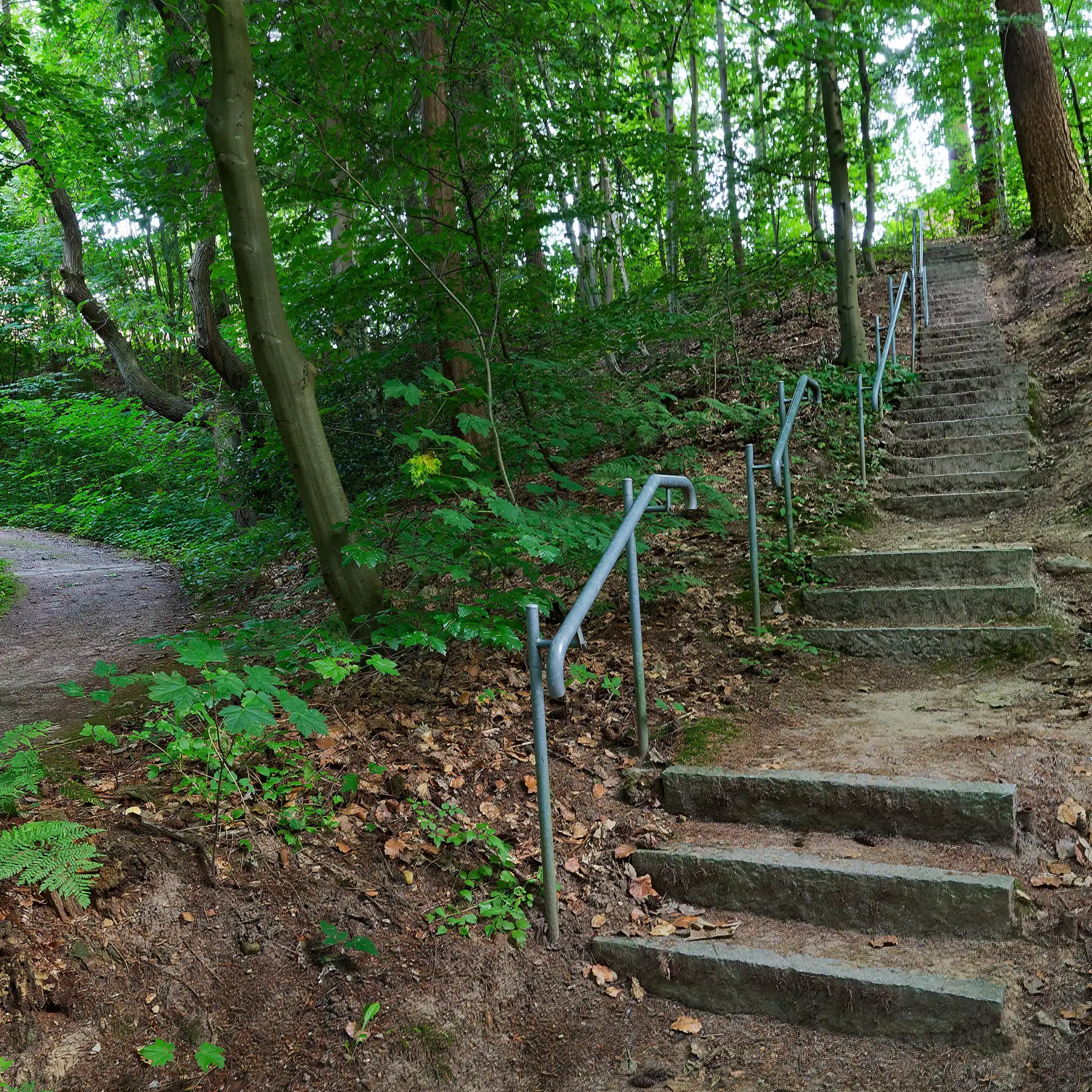 Psychosomatische Erkrankungen